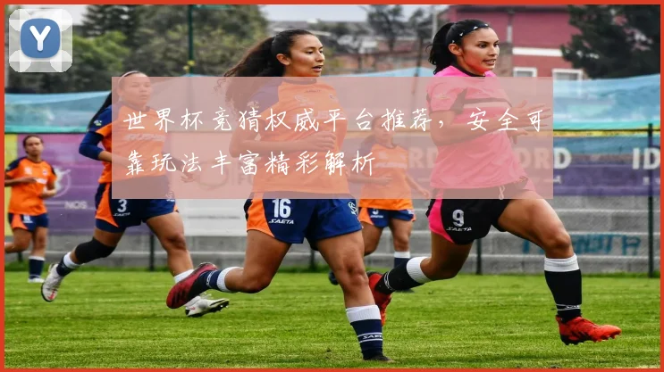 世界杯竞猜权威平台推荐，安全可靠玩法丰富精彩解析